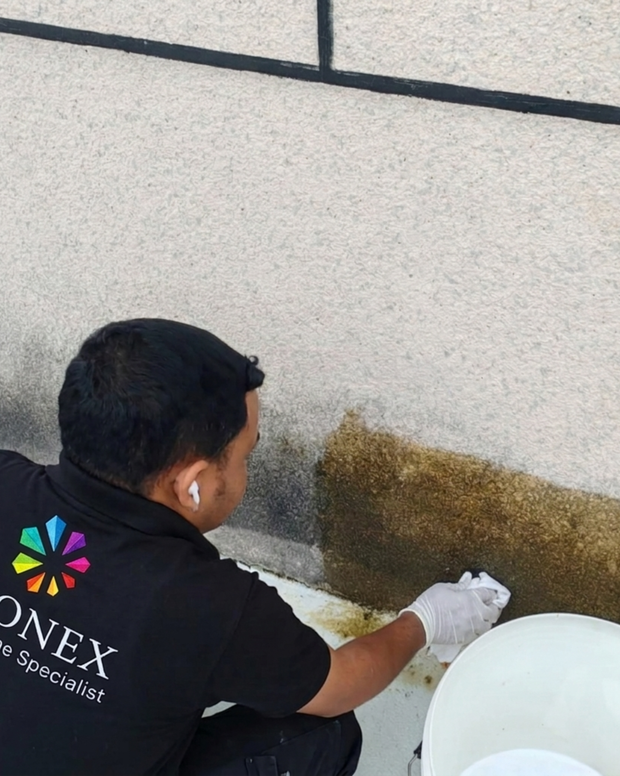 Cleaning and Maintenance